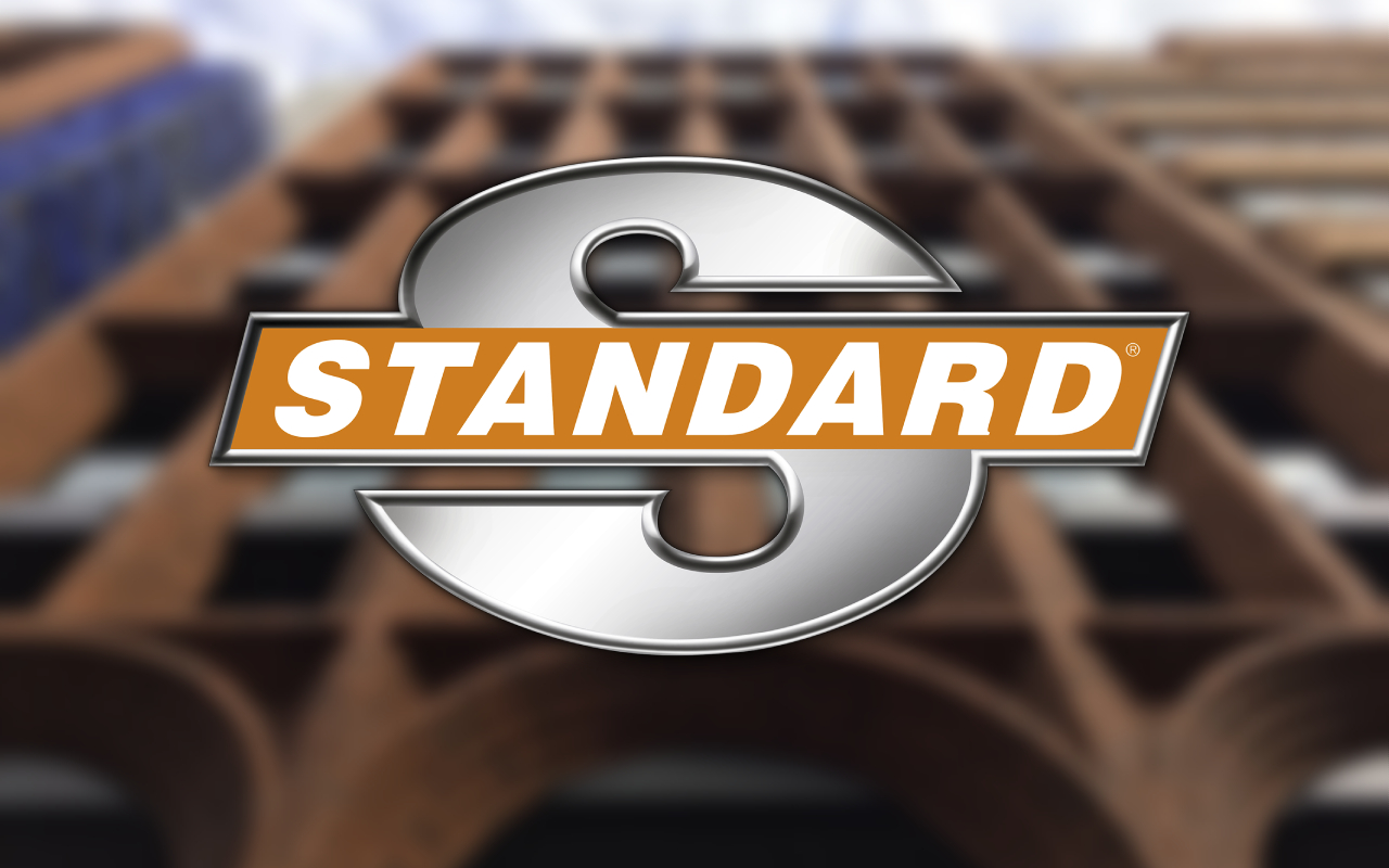 استانداردها
