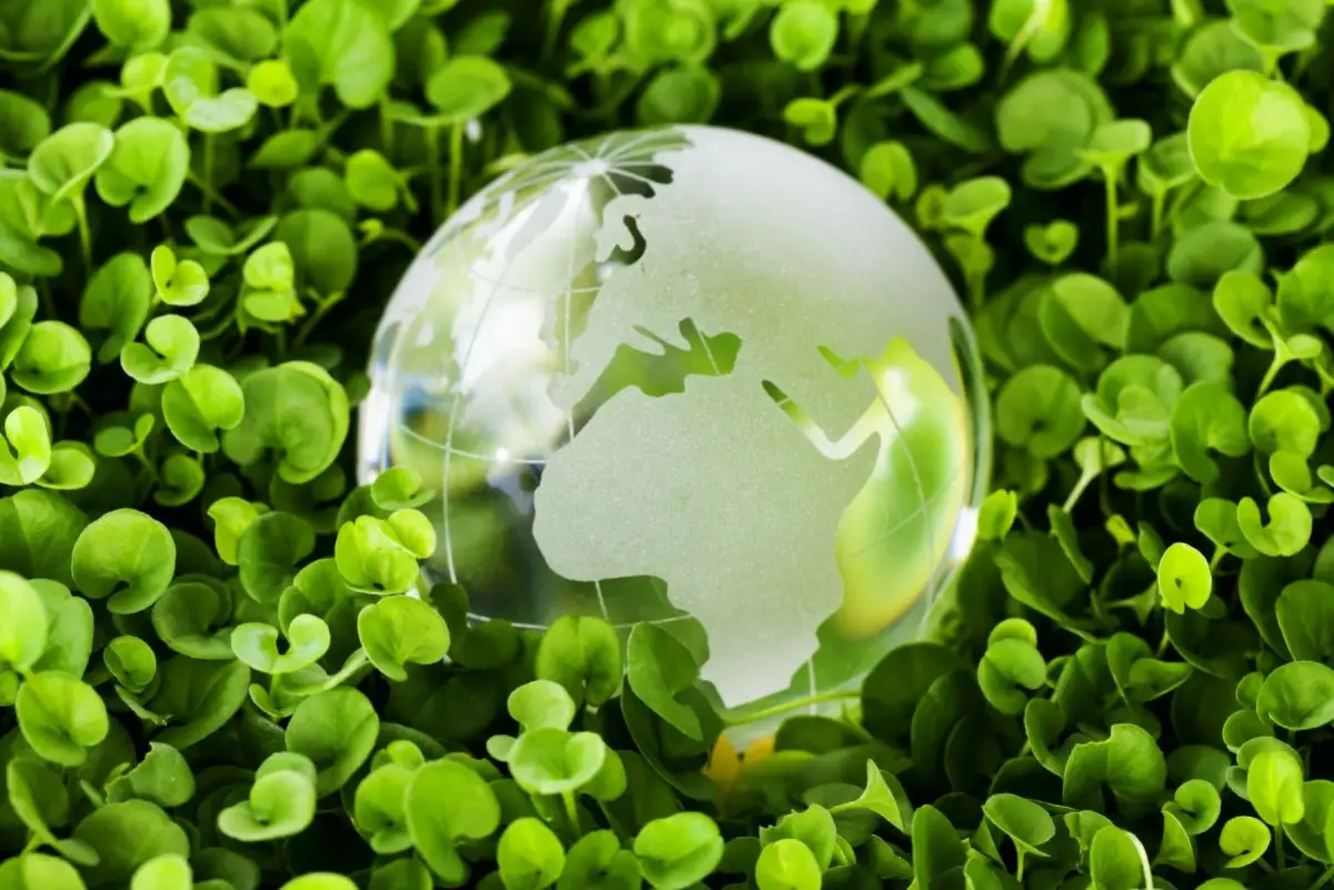 سازگاری با محیط زیست